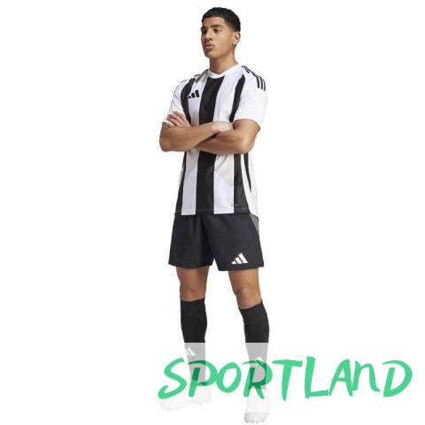 Koszulka adidas Striped 24 JSY M IW2143 M Koszulka adidas Striped 24 JSY M IW2143 M
