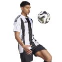 Koszulka adidas Striped 24 JSY M IW2143 S