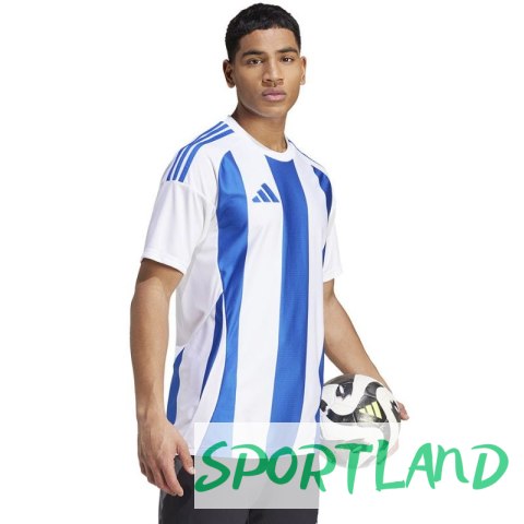 Koszulka adidas Striped 24 JSY M IW2144 XL