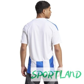 Koszulka adidas Striped 24 JSY M IW2144 M