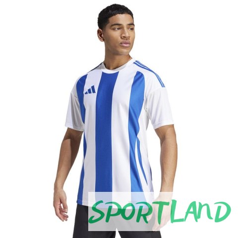 Koszulka adidas Striped 24 JSY M IW2144 M Koszulka adidas Striped 24 JSY M IW2144 M