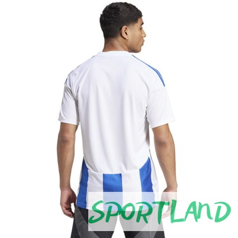 Koszulka adidas Striped 24 JSY M IW2144 M Koszulka adidas Striped 24 JSY M IW2144 M