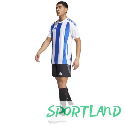 Koszulka adidas Striped 24 JSY M IW2144 M Koszulka adidas Striped 24 JSY M IW2144 M
