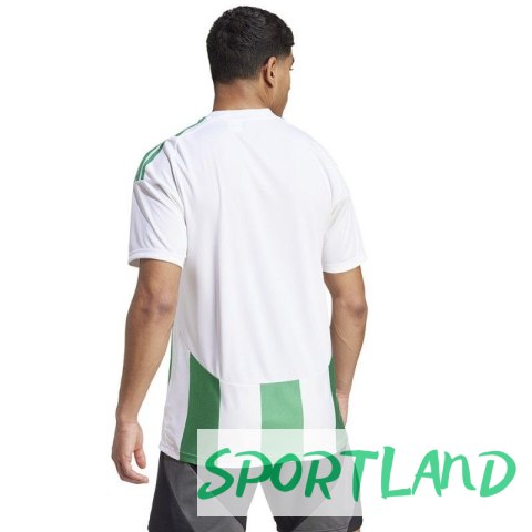 Koszulka adidas Striped 24 JSY M IW2148 M Koszulka adidas Striped 24 JSY M IW2148 M