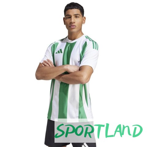 Koszulka adidas Striped 24 JSY M IW2148 S Koszulka adidas Striped 24 JSY M IW2148 S