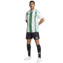 Koszulka adidas Striped 24 JSY M IW2148 S