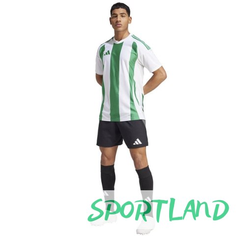 Koszulka adidas Striped 24 JSY M IW2148 S Koszulka adidas Striped 24 JSY M IW2148 S