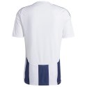 Koszulka adidas Striped 24 JSY M IW4554 M