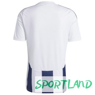 Koszulka adidas Striped 24 JSY M IW4554 M