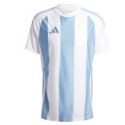 Koszulka adidas Striped 24 JSY M IW4555 M