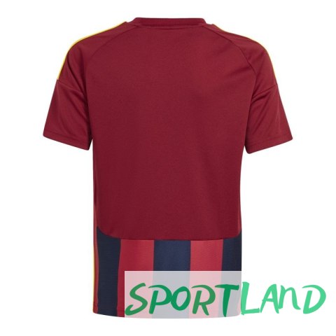 Koszulka adidas Striped 24 Jr IW2139 128 Koszulka adidas Striped 24 Jr IW2139 128