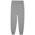 Spodnie Puma Team Goal Jr 658601 06 140cm