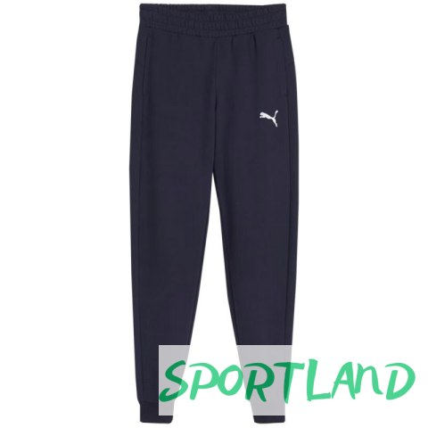 Spodnie Puma Team Goal Jr 658601 06 152cm Spodnie Puma Team Goal Jr 658601 06 152cm