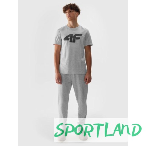 Spodnie 4F M 4FWSS24TTROM603 27M L Spodnie 4F M 4FWSS24TTROM603 27M L