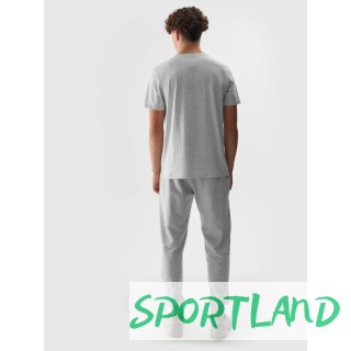 Spodnie 4F M 4FWSS24TTROM603 27M L