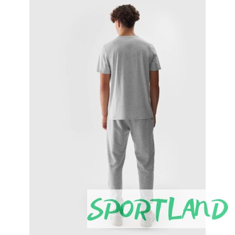 Spodnie 4F M 4FWSS24TTROM603 27M L Spodnie 4F M 4FWSS24TTROM603 27M L