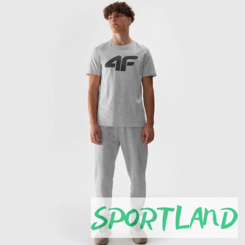 Spodnie 4F M 4FWSS24TTROM603 27M L Spodnie 4F M 4FWSS24TTROM603 27M L