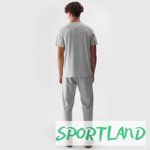Spodnie 4F M 4FWSS24TTROM603 27M L Spodnie 4F M 4FWSS24TTROM603 27M L