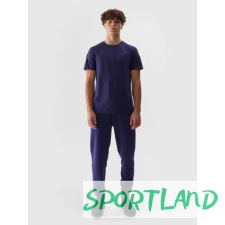 Spodnie 4F M 4FWSS24TTROM603 31S L