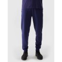Spodnie 4F M 4FWSS24TTROM603 31S XL