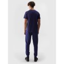 Spodnie 4F M 4FWSS24TTROM603 31S XL