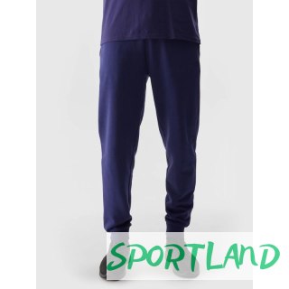 Spodnie 4F M 4FWSS24TTROM603 31S S