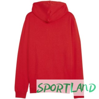 Bluza Puma Team Goal Casuals Hooded M 658595 01 M