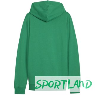Bluza Puma Team Goal Casuals Hooded M 658595 05 M