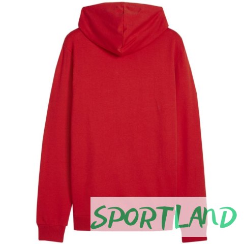 Bluza Puma Team Goal Casuals Hoody M 658618 01 XL Bluza Puma Team Goal Casuals Hoody M 658618 01 XL