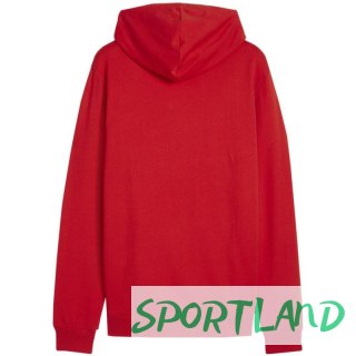 Bluza Puma Team Goal Casuals Hoody M 658618 01 S