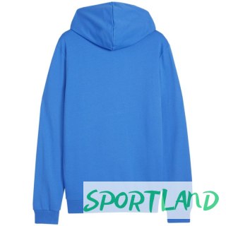 Bluza Puma Team Goal Casuals Hoody M 658618 02 S