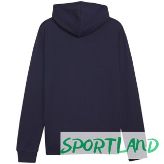 Bluza Puma Team Goal Casuals Hoody M 658618 06 S