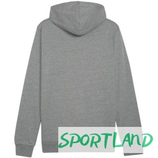 Bluza Puma Team Goal Casuals Hoody M 658618 33 S