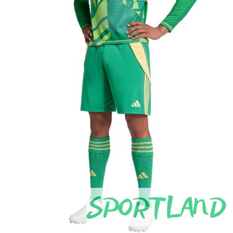 Spodenki adidas Tiro 24 M IT2414 L Spodenki adidas Tiro 24 M IT2414 L
