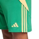 Spodenki adidas Tiro 24 M IT2414 M