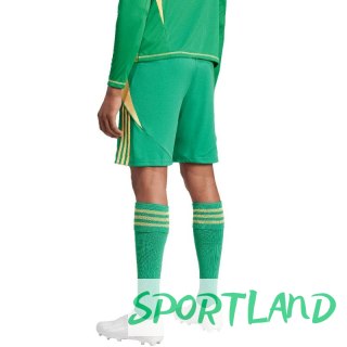 Spodenki adidas Tiro 24 M IT2414 S