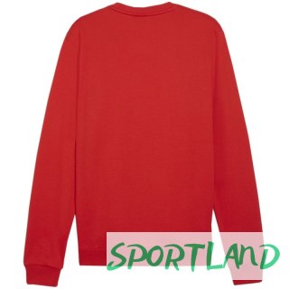 Bluza Puma Team Goal Casuals Crew Neck Sweat M 658592 01 M