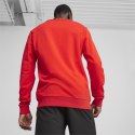 Bluza Puma Team Goal Casuals Crew Neck Sweat M 658592 01 S