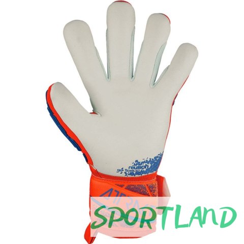 Rękawice Reusch Attrakt Freegel Silver M 54 70 235 2210 9 Rękawice Reusch Attrakt Freegel Silver M 54 70 235 2210 9