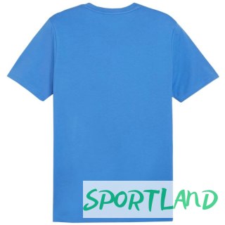 Koszulka Puma Team Goal Casuals Tee M 658615 02 XL