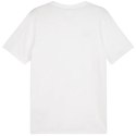 Koszulka Puma Team Goal Casuals Tee M 658615 04 XL