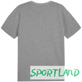 Koszulka Puma Team Goal Casuals Tee M 658615 33 S