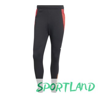 Spodnie adidas Tiro 24 Competition M IP1879 S (173cm)
