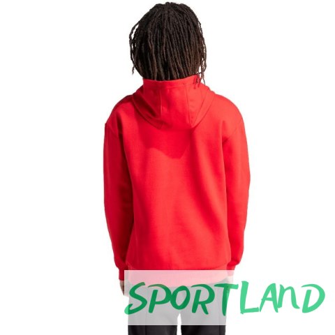 Bluza adidas FI Bos Hd Oly M IS8338 L Bluza adidas FI Bos Hd Oly M IS8338 L