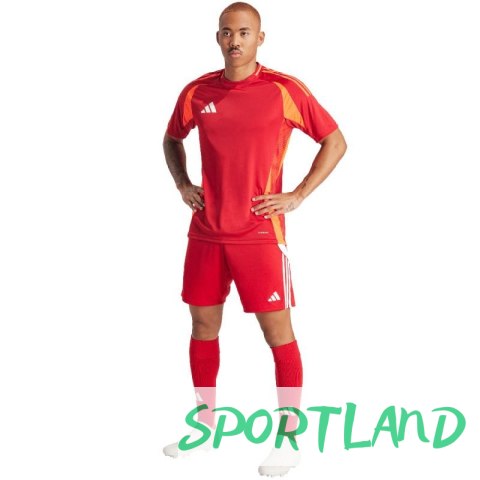 Spodenki adidas Tiro 24 M IR9379 L Spodenki adidas Tiro 24 M IR9379 L