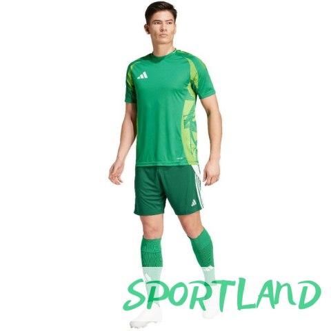 Spodenki adidas Tiro 24 M IS1410 M Spodenki adidas Tiro 24 M IS1410 M