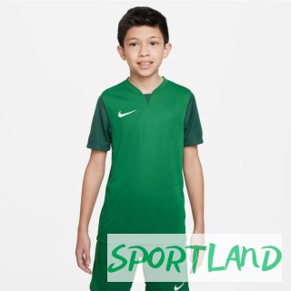 Koszulka Nike Trophy V JSY Jr DR0942-302 XL (158-170cm)