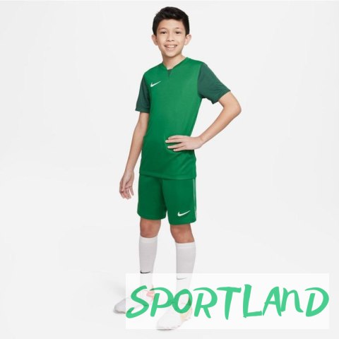Koszulka Nike Trophy V JSY Jr DR0942-302 XL (158-170cm) Koszulka Nike Trophy V JSY Jr DR0942-302 XL (158-170cm)