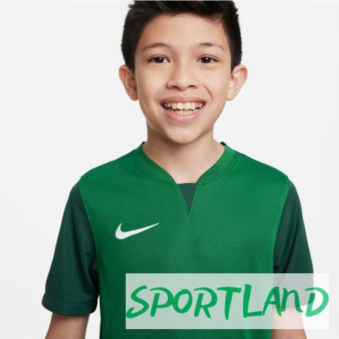 Koszulka Nike Trophy V JSY Jr DR0942-302 XS (122-128cm) Koszulka Nike Trophy V JSY Jr DR0942-302 XS (122-128cm)