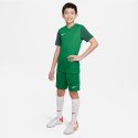 Koszulka Nike Trophy V JSY Jr DR0942-302 XS (122-128cm)